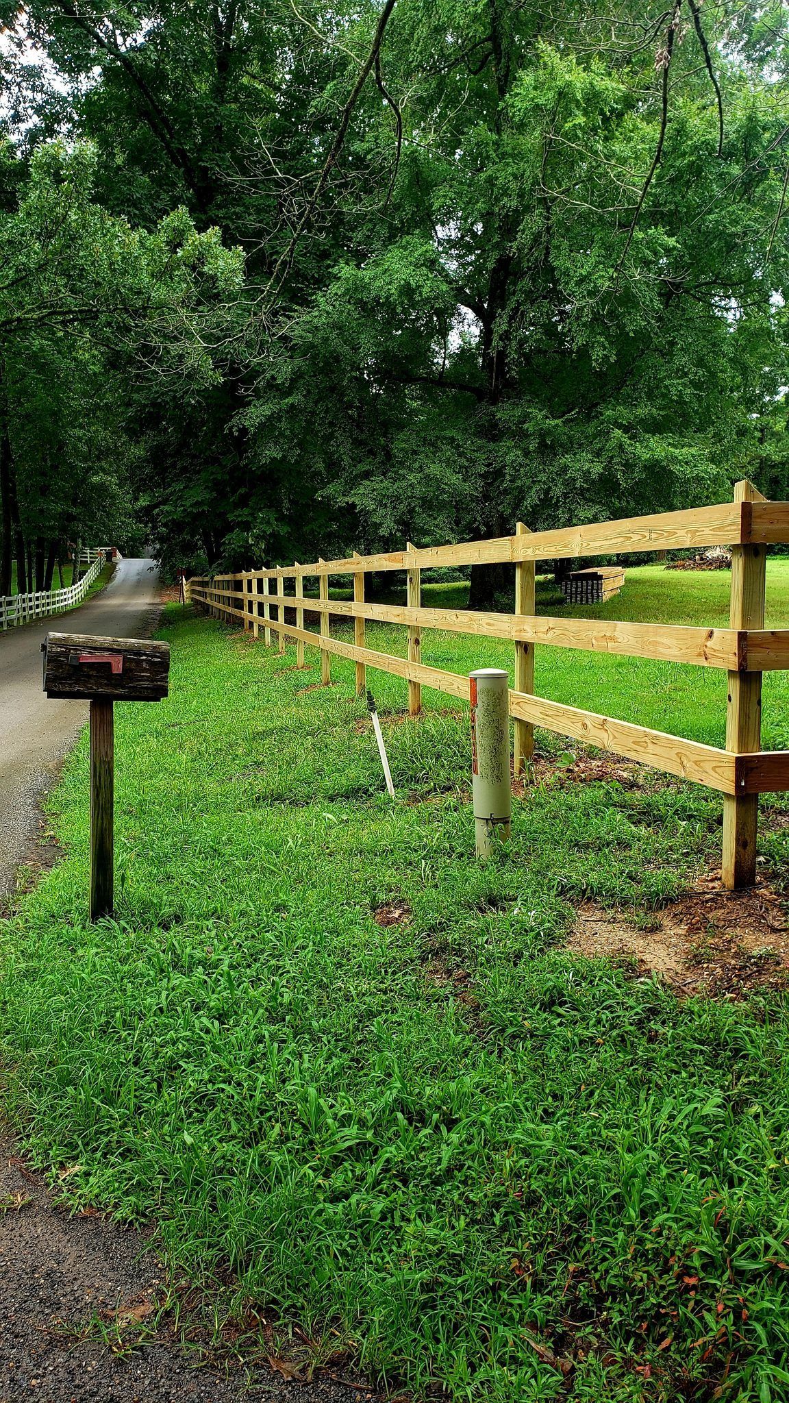 Tree-lined path beside a wooden fence on a rainy, lush green trail