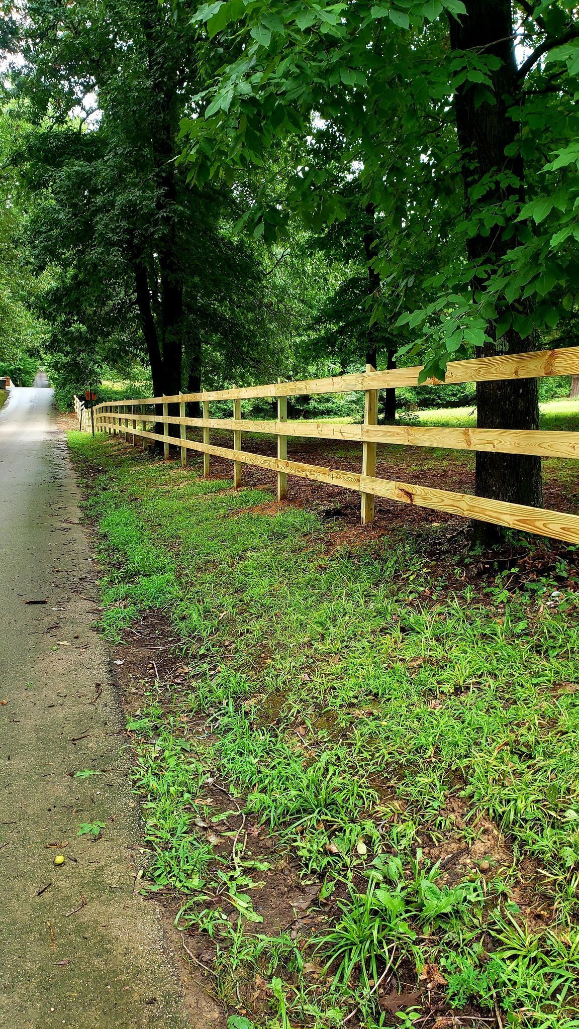 Rainy dirt path beside a yellow wooden fence under leafy green trees