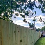 Tall pale green wooden fence along a grassy yard under tree branches and a cloudy sky