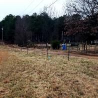 Grassy field beside a fenced dirt path with trees and a small blue structure in the background