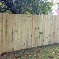 Wooden privacy fence in a grassy yard with trees visible above it