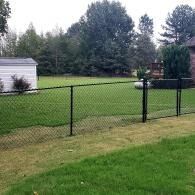 Backyard with black chain-link fence, green lawn, trees, and a small shed in the background