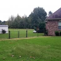 Suburban backyard with green lawn, chain-link fence, trees, and a brick house on the right