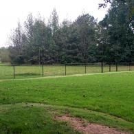 Grassy park with a chain-link fence and tall trees in the background