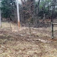 A muddy fenced field with trees and brush in the background
