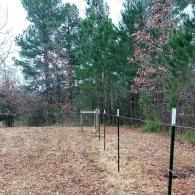 Rural fenced field with black posts and a wire fence, backed by tall trees under an overcast sky