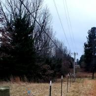 Rural utility poles and power lines beside a grassy path and bare winter trees