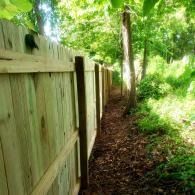 Wooden fence along a narrow, leaf-covered path in a lush green wooded area