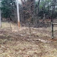 Grassy wooded area with a wire fence and wooden posts along the edge