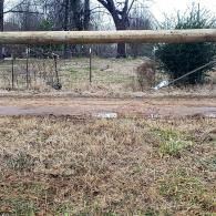 Rural dirt road blocked by a fallen tree trunk and wire fence in a grassy field