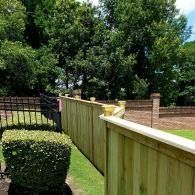 Wooden fence beside a black metal gate, with trimmed hedges and trees in a sunny yard.