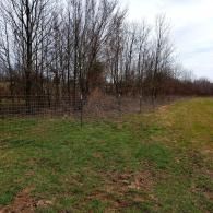 Grassy field beside a wire fence lined with leafless trees under a cloudy sky