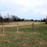 Grassy field with a wooden fence and bare trees under a cloudy sky