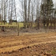 Muddy dirt road beside a wire gate and leafless trees in a rural field