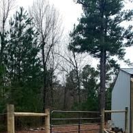 Wooded yard with tall pine trees, a metal gate, and a gray building on the right.