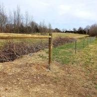 Rural field with a wire fence and wooden posts beside a dirt path under a cloudy sky
