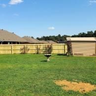 Backyard with green lawn, wooden fence, shed, and a birdbath under a blue sky