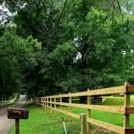 Wooded path beside a wooden fence under lush green trees
