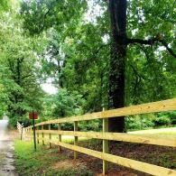 Yellow fence along a tree-lined dirt path in a green wooded park