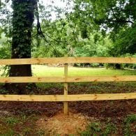 Wooden fence beside a tree in a grassy field, with a wooded backdrop