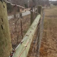 Rusty wire fence beside a weathered green wooden rail in a grassy field