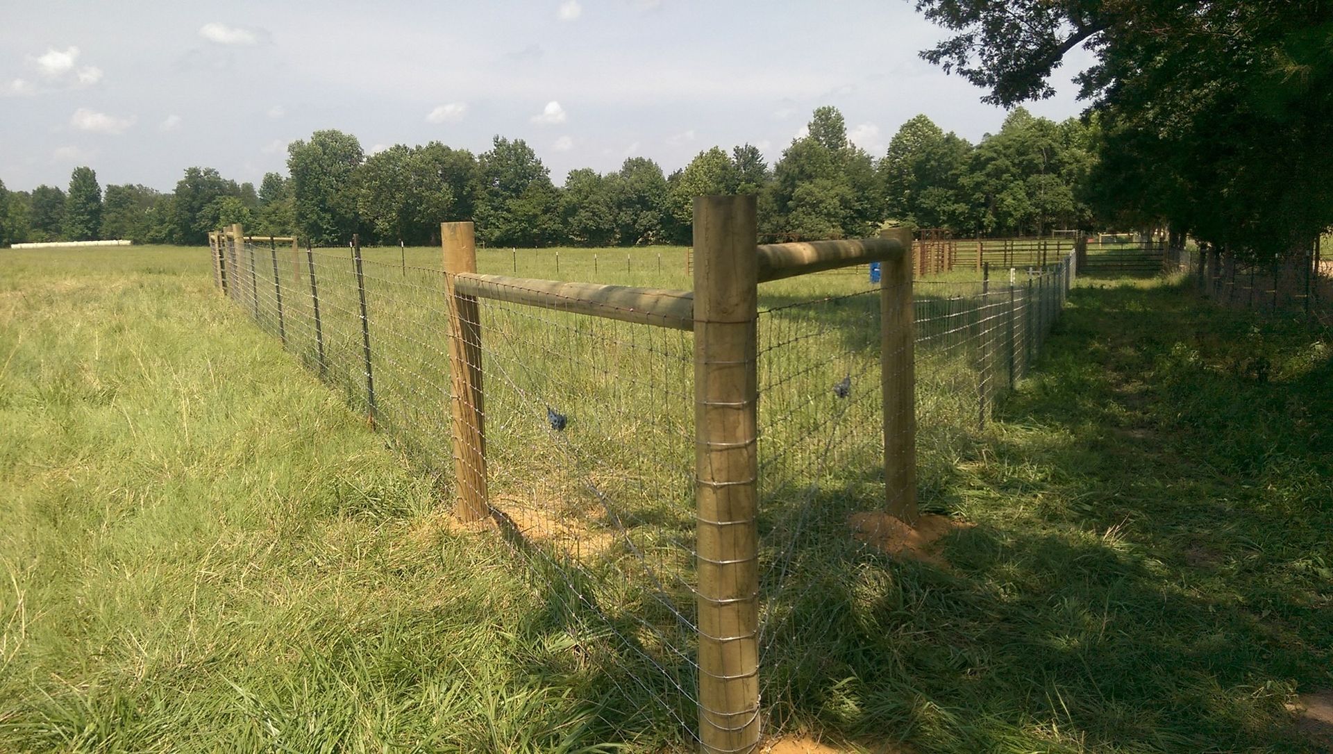 Wooden fence posts enclosing a grassy field beside a dirt path under trees