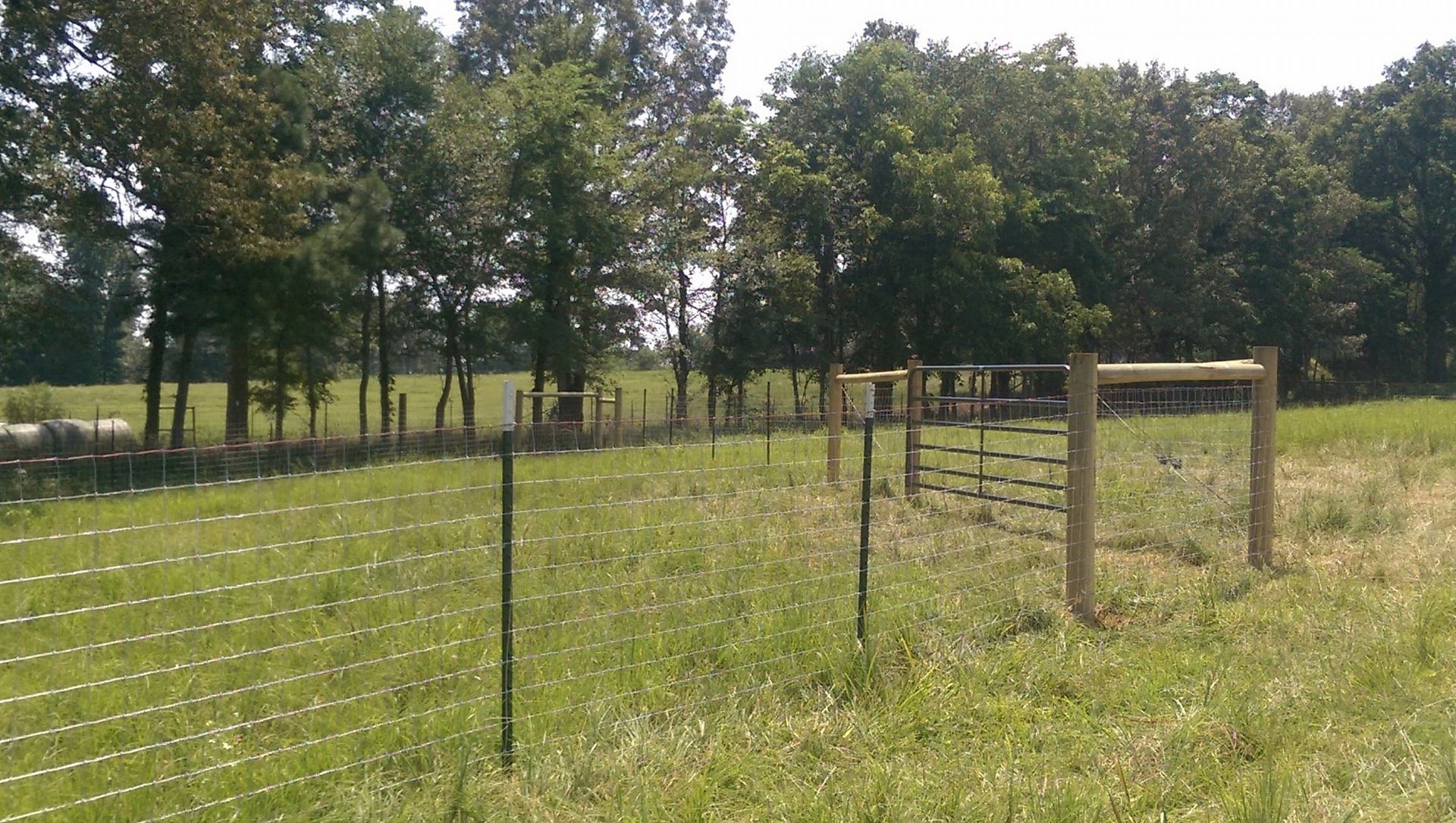 Grassy fenced field with trees in the background and a small wooden gate structure.