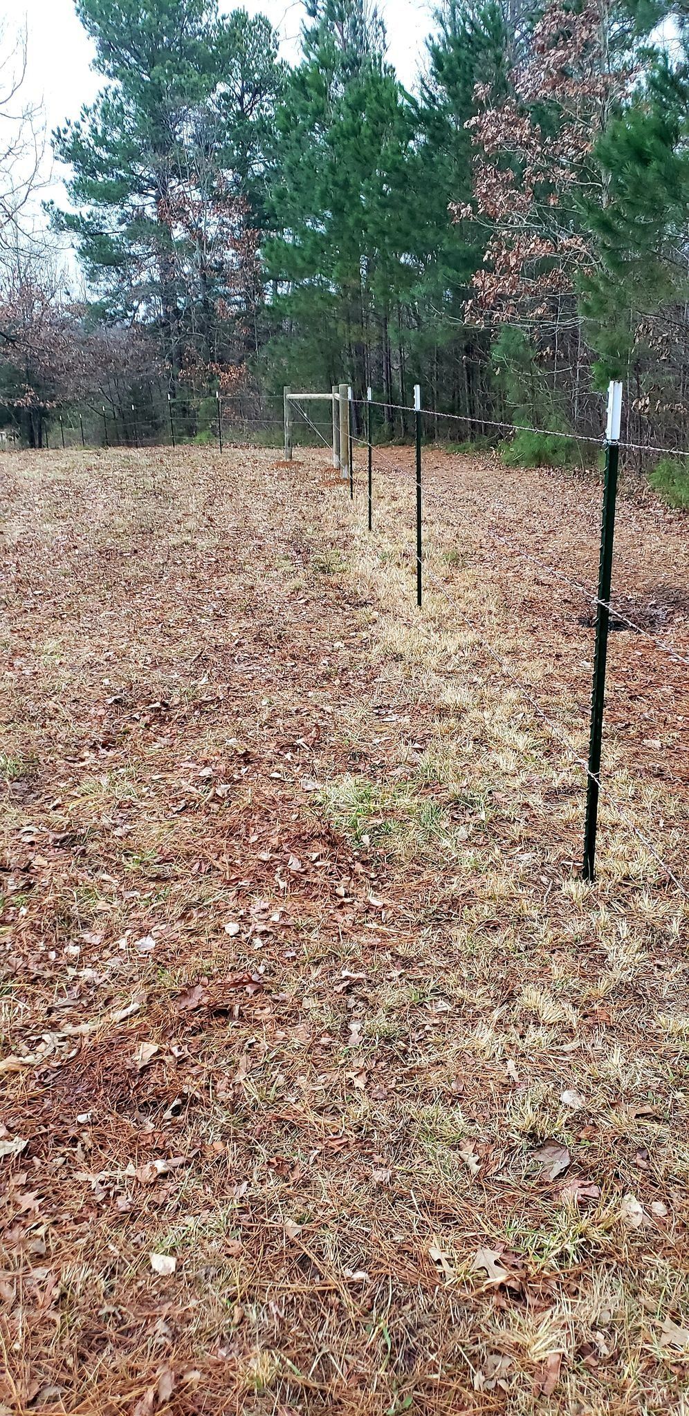 Leaf-covered yard with trees and a small signpost in the distance