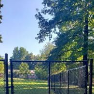 Chain-link fence in a sunny park with green grass and trees under a blue sky