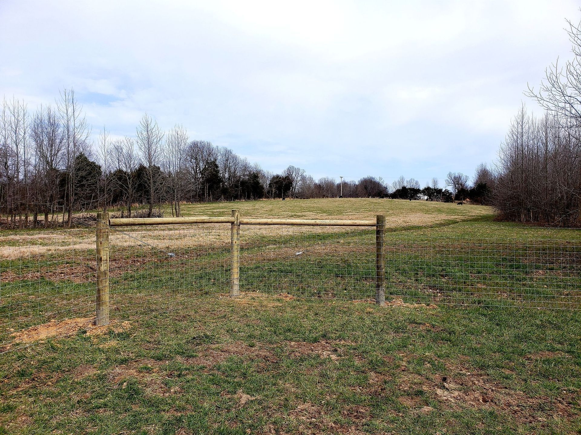 Rural field behind a wire fence with trees under a cloudy sky