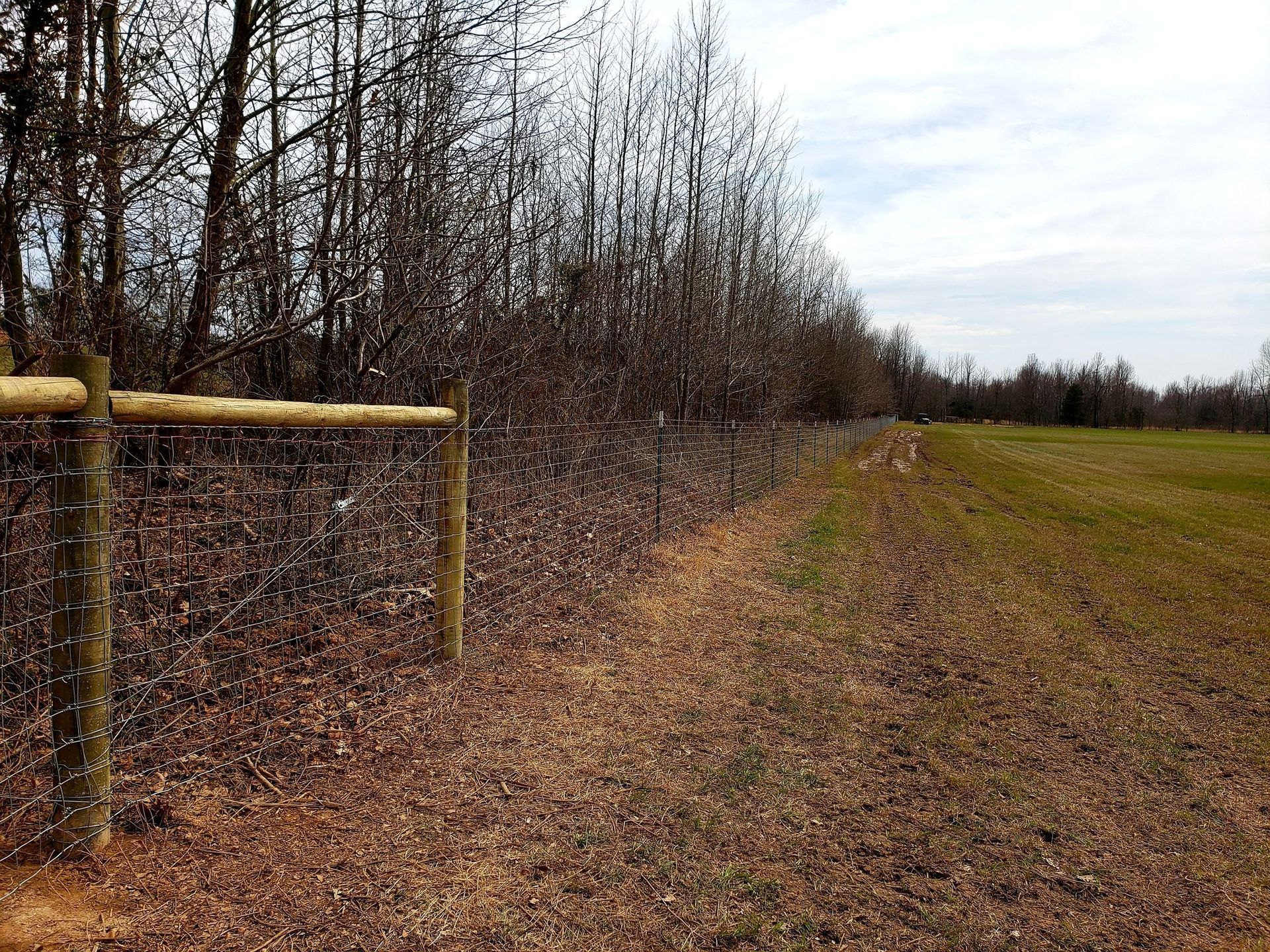 Grassy field beside bare trees and a wooden fence under a cloudy sky