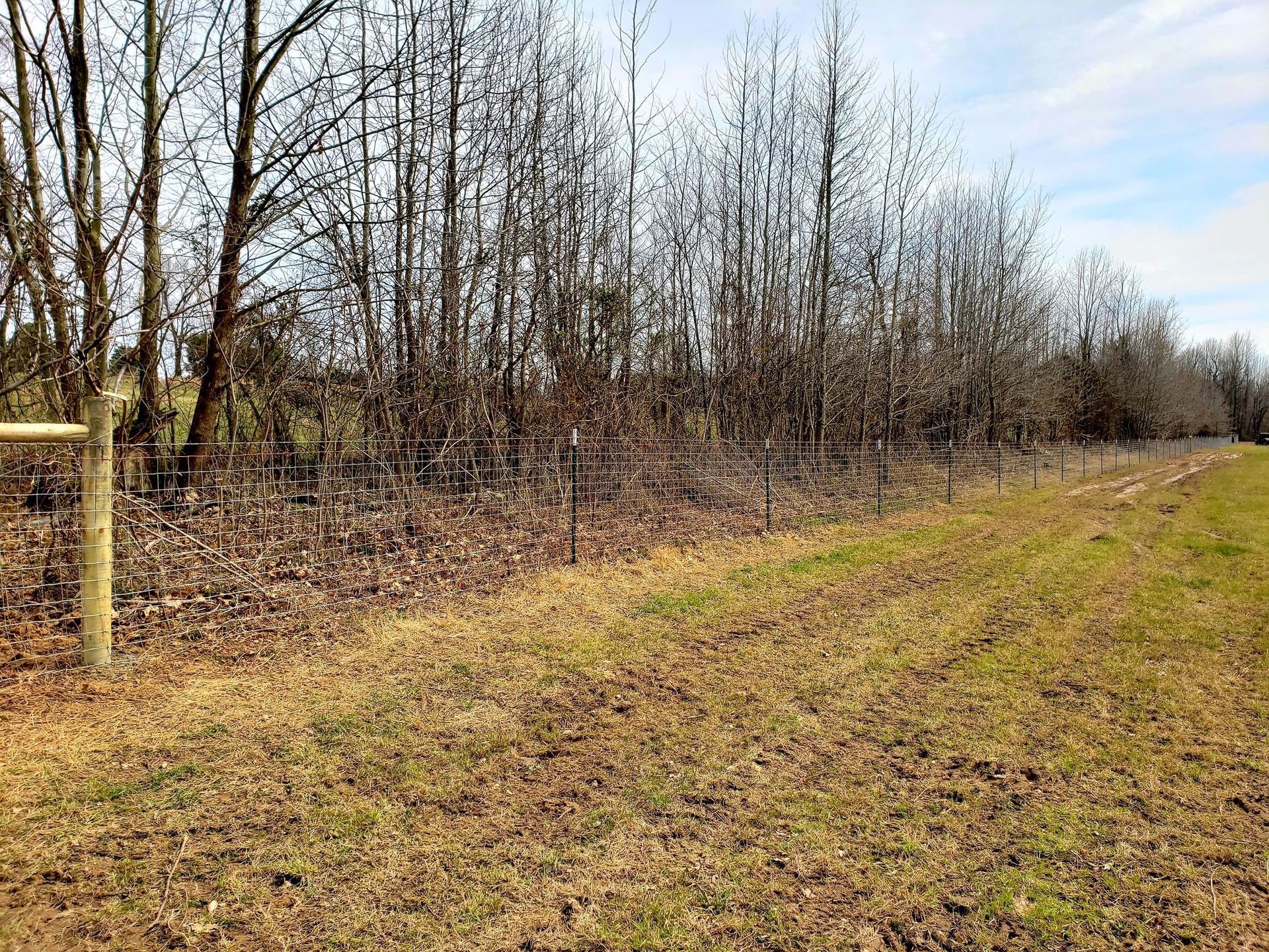 Leafless trees line a muddy grassy path in a rural field under a pale sky.