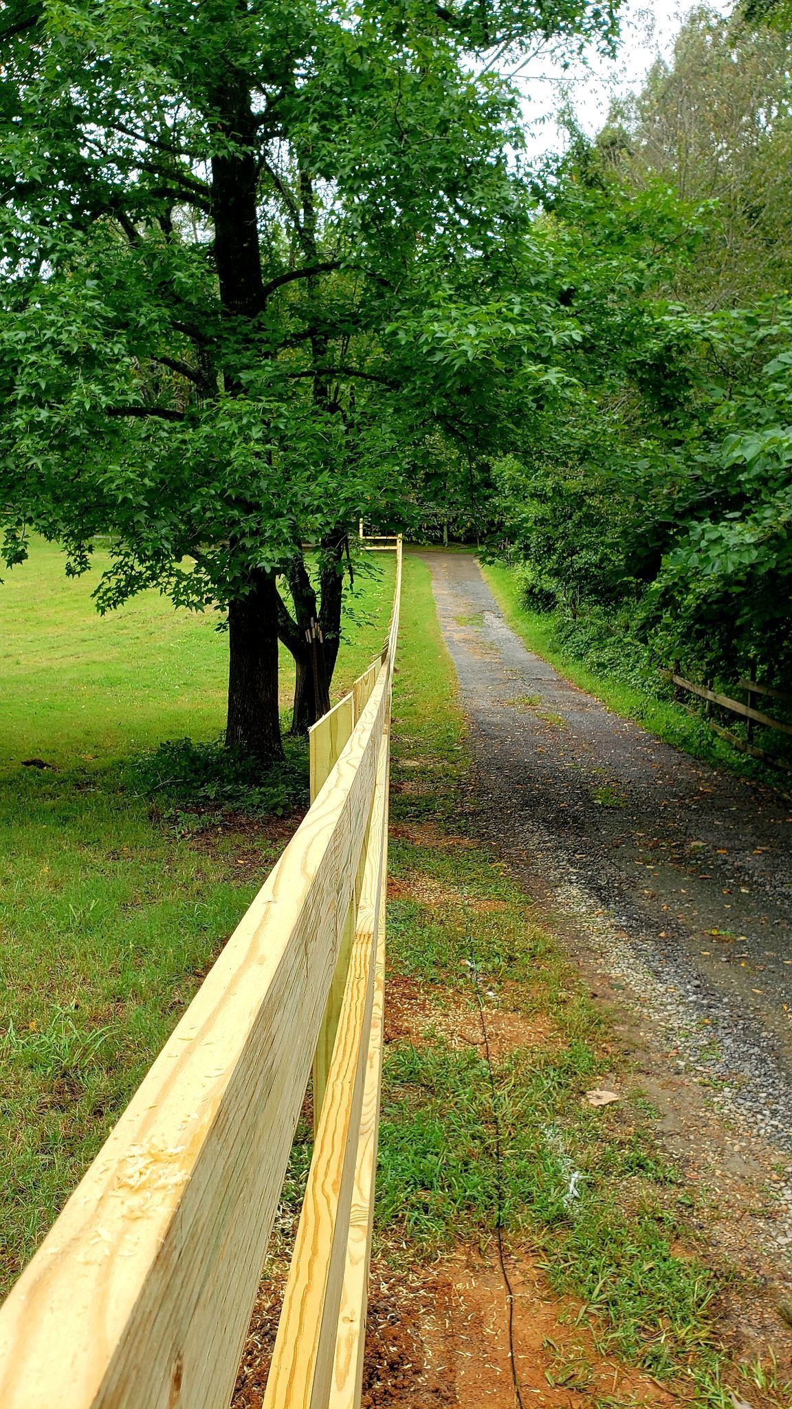 Narrow gravel path beside a wooden fence, lined with green trees and grass on a cloudy day