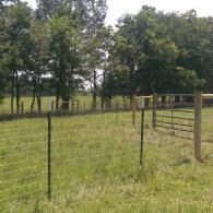 Wire fence in a grassy field with trees in the background.