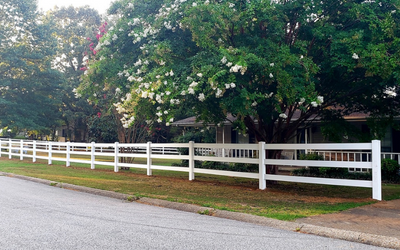 White wooden fence along a quiet roadside with large green trees overhead