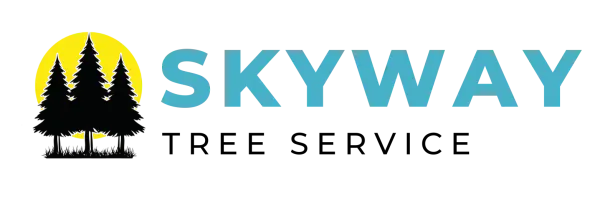 Skyway tree service Skyway tree service