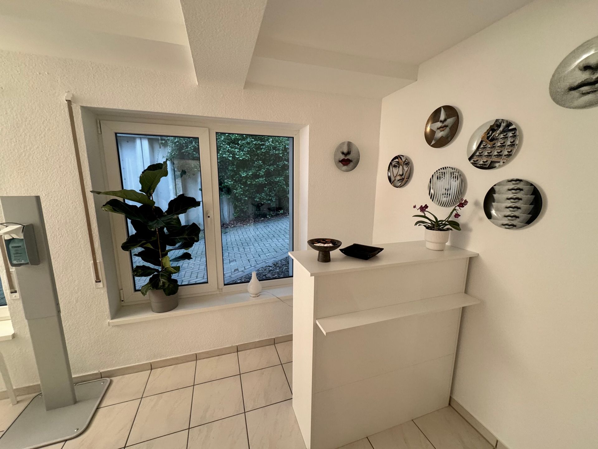 Ein Raum mit einem Fenster, einer Theke und einer Pflanze.