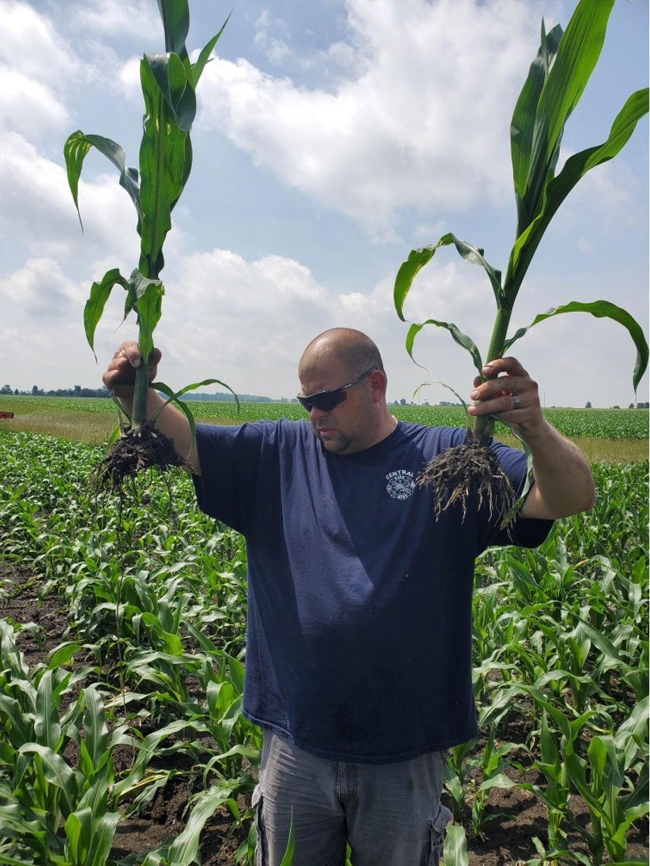 Vitaliz Bronze customer, Josh Blazier, comparing corn stalks.