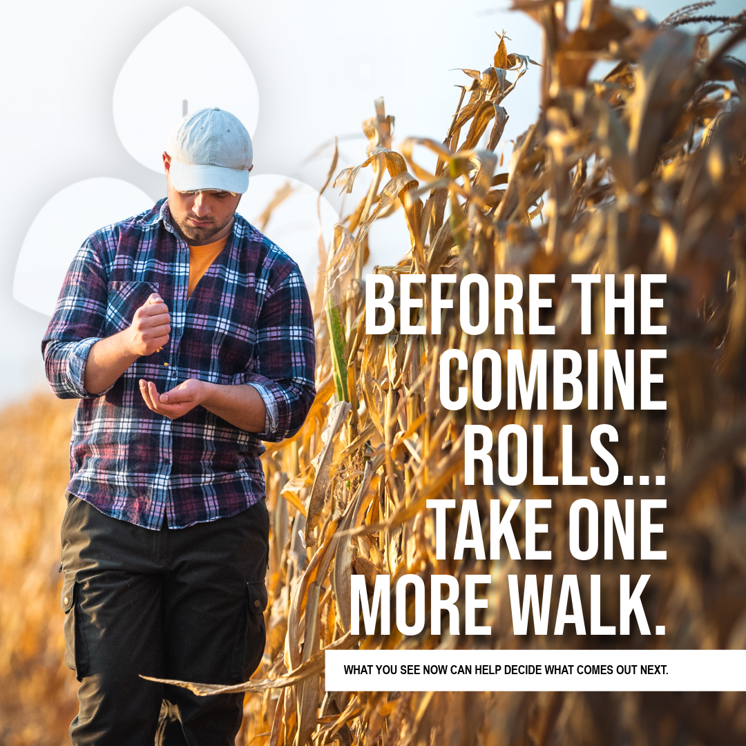 Before The Combine Rolls... Take One More Walk