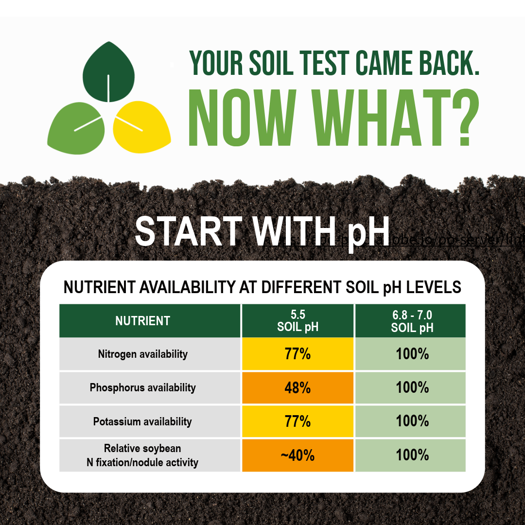How Soil pH Affects Nutrient Availability