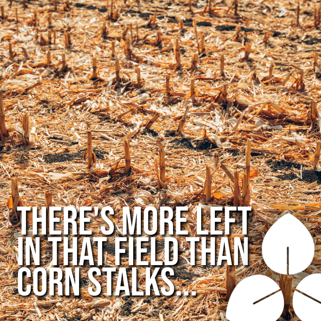 There’s More Left in That Field Than Corn Stalks...
