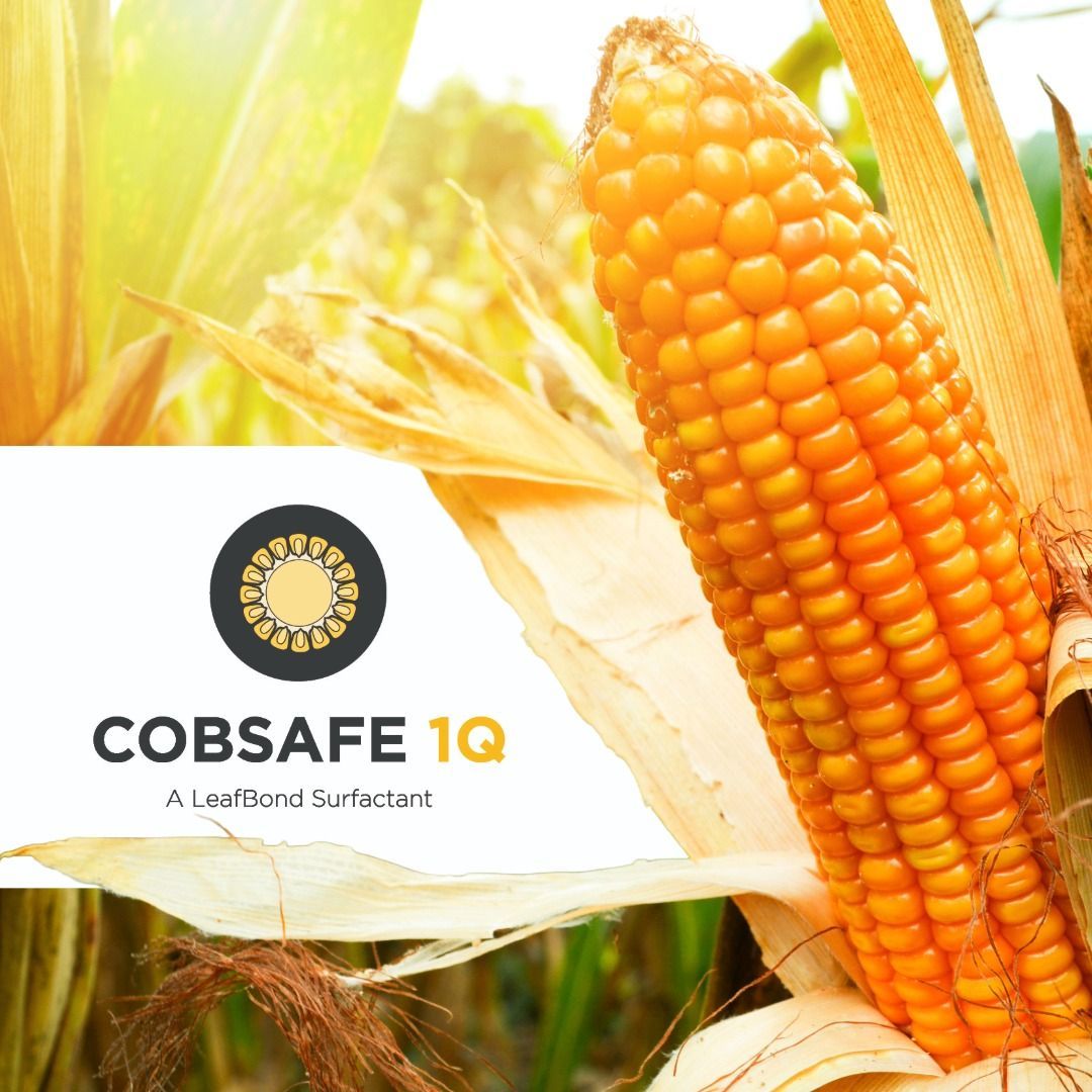 CobSafe 1Q A LeafBond Surfactant