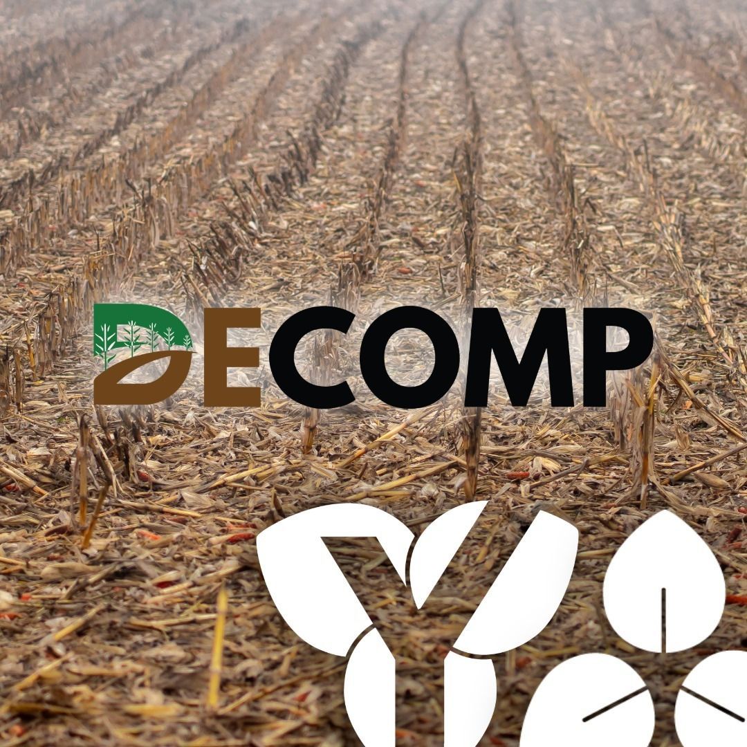 Build Residue Management Into Your Fertility Plan With DECOMP