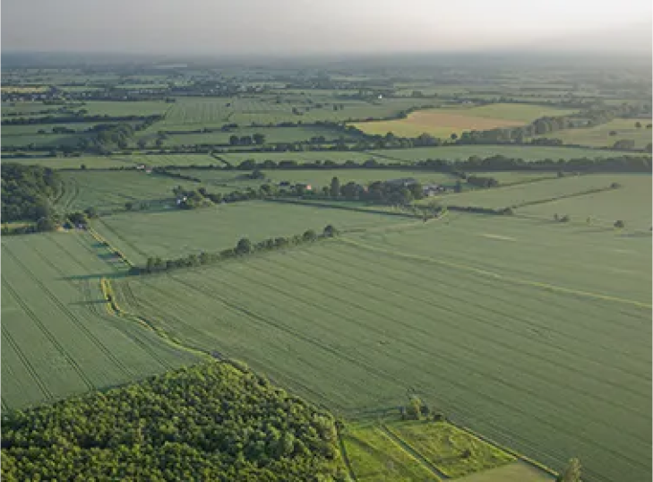 Vista aérea de campos agrícolas verdes, segmentados por árvores e sebes sob um céu enevoado.