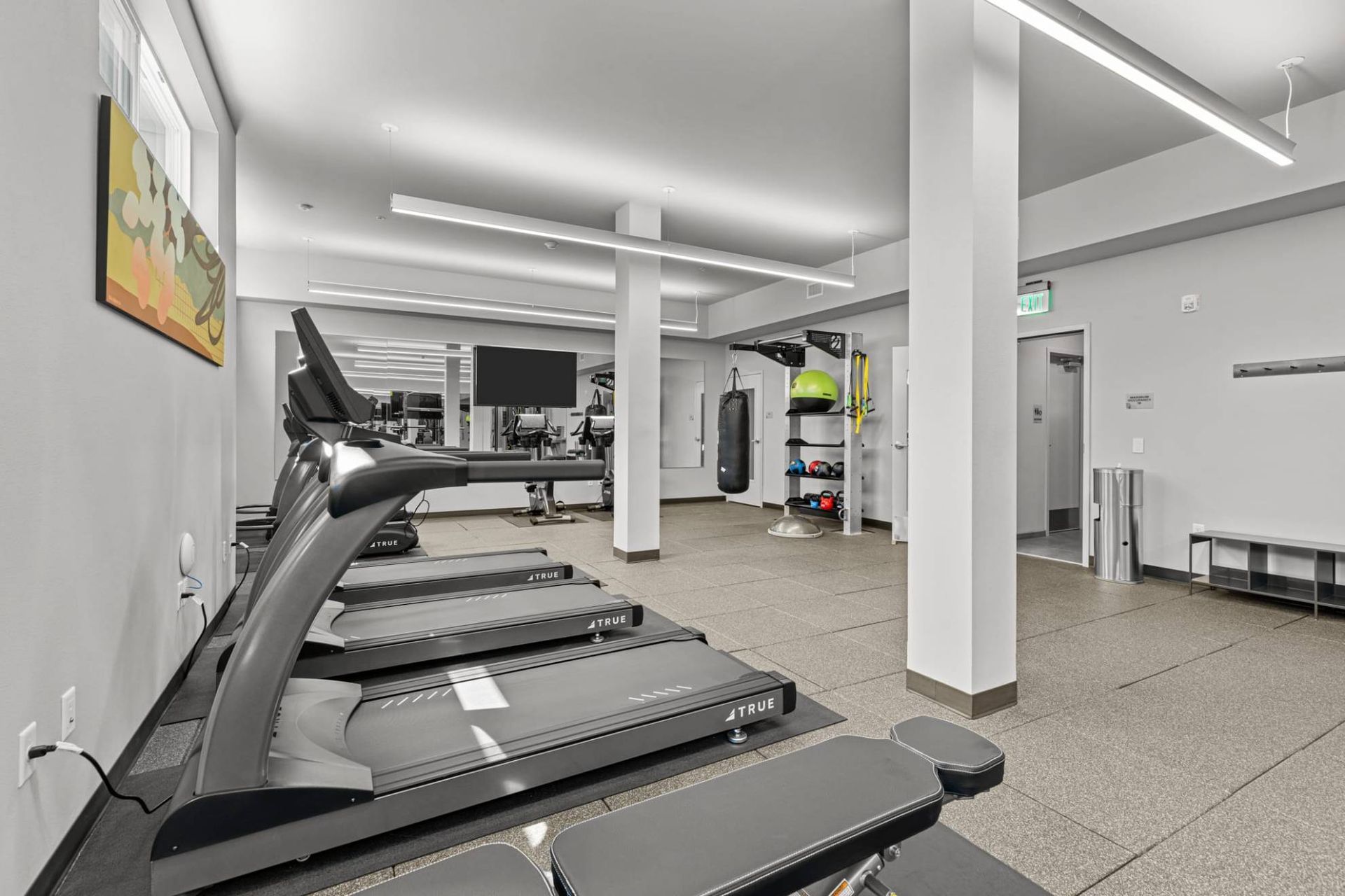 Modern fitness center with treadmills, a punching bag, and weight rack at Zinnia Apartments in Shoreline, WA.