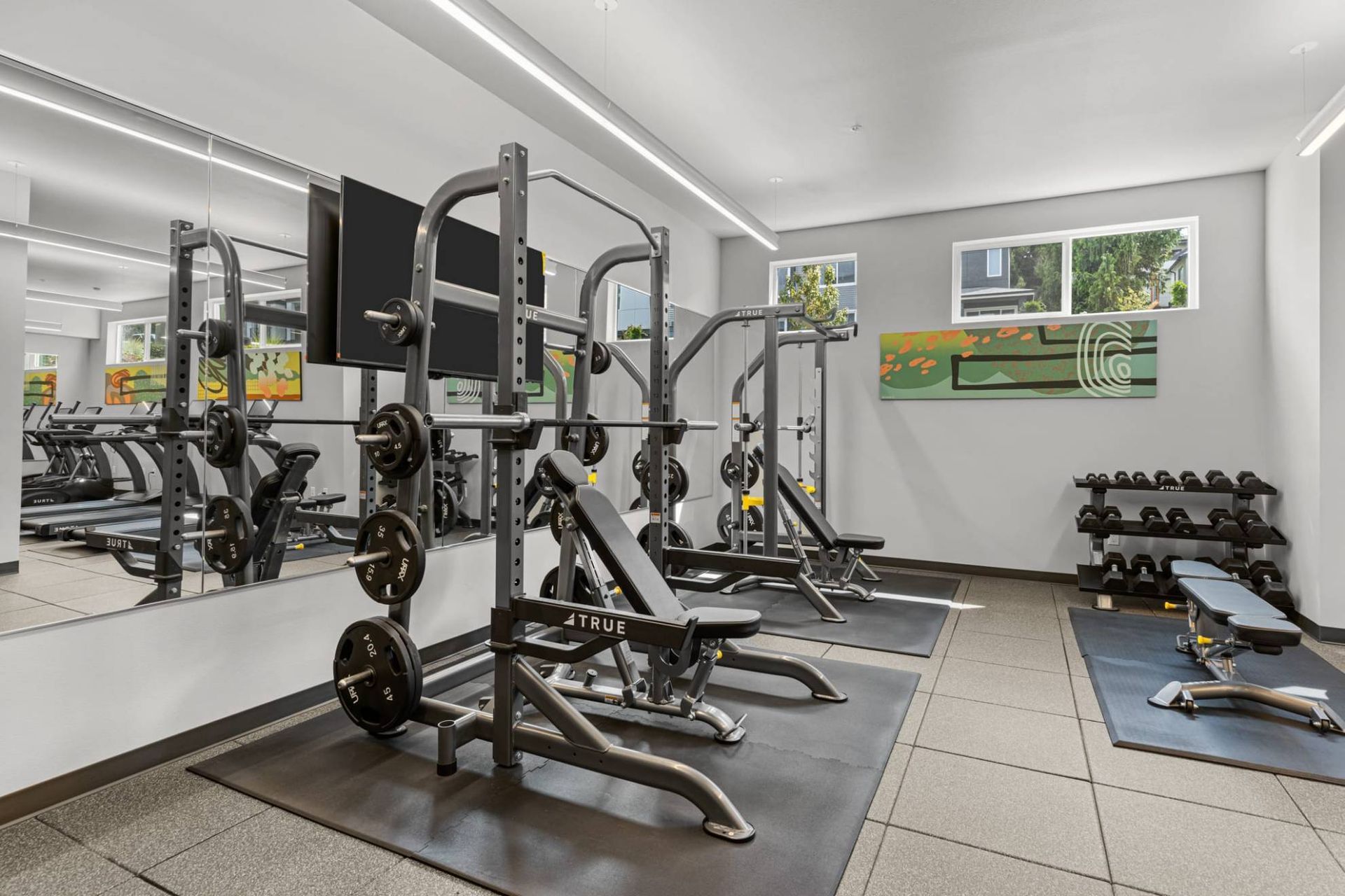 Fitness center with weight machines, benches, and dumbbell rack at Zinnia Apartments in Shoreline, WA.