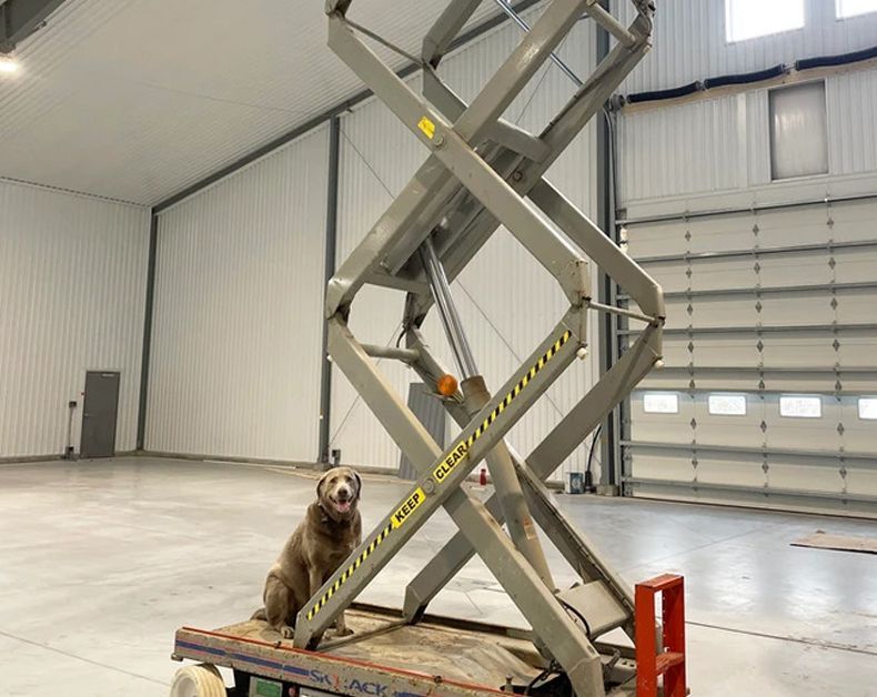 A dog is sitting on top of a scissor lift in a warehouse.