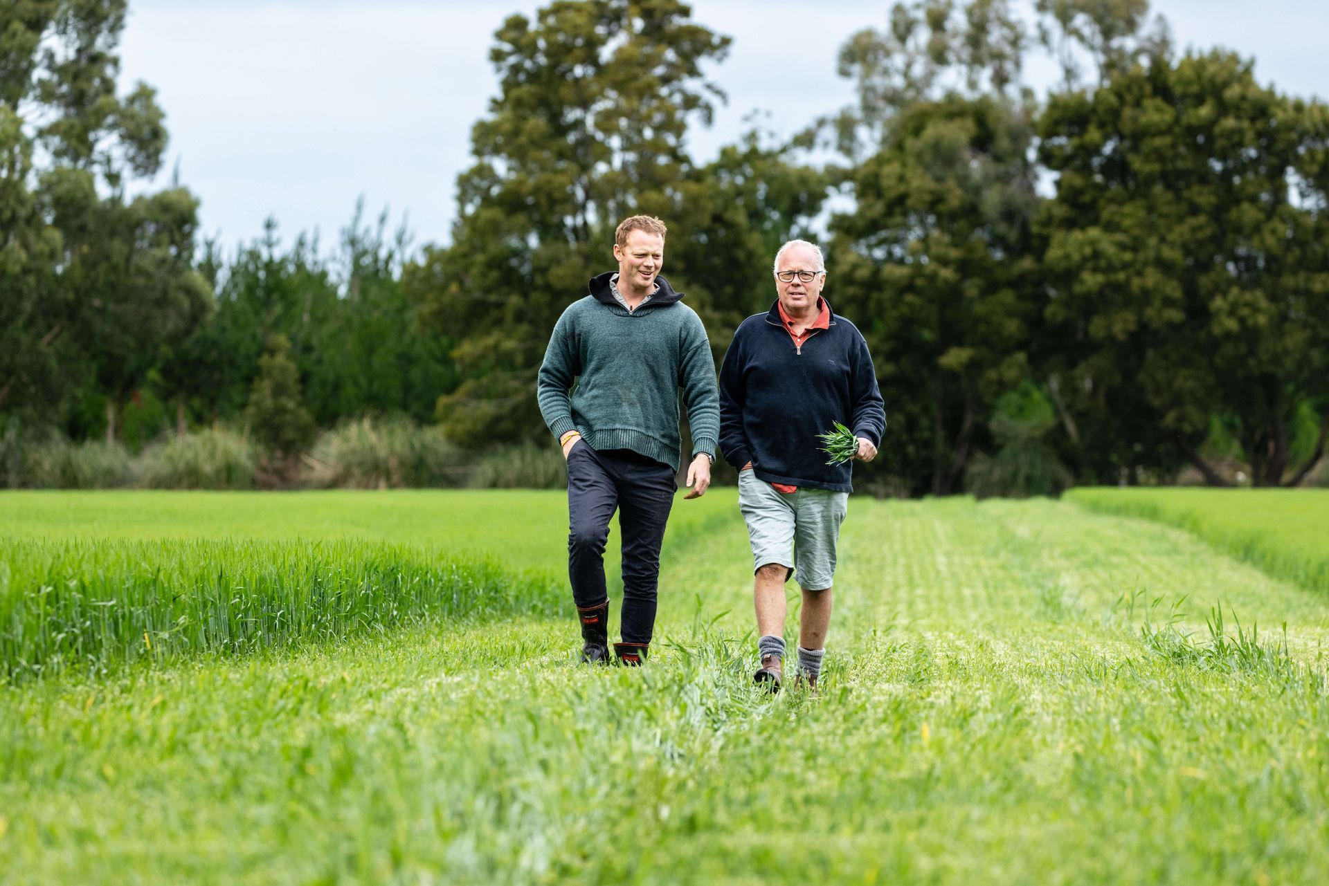 Folium Organics NZ