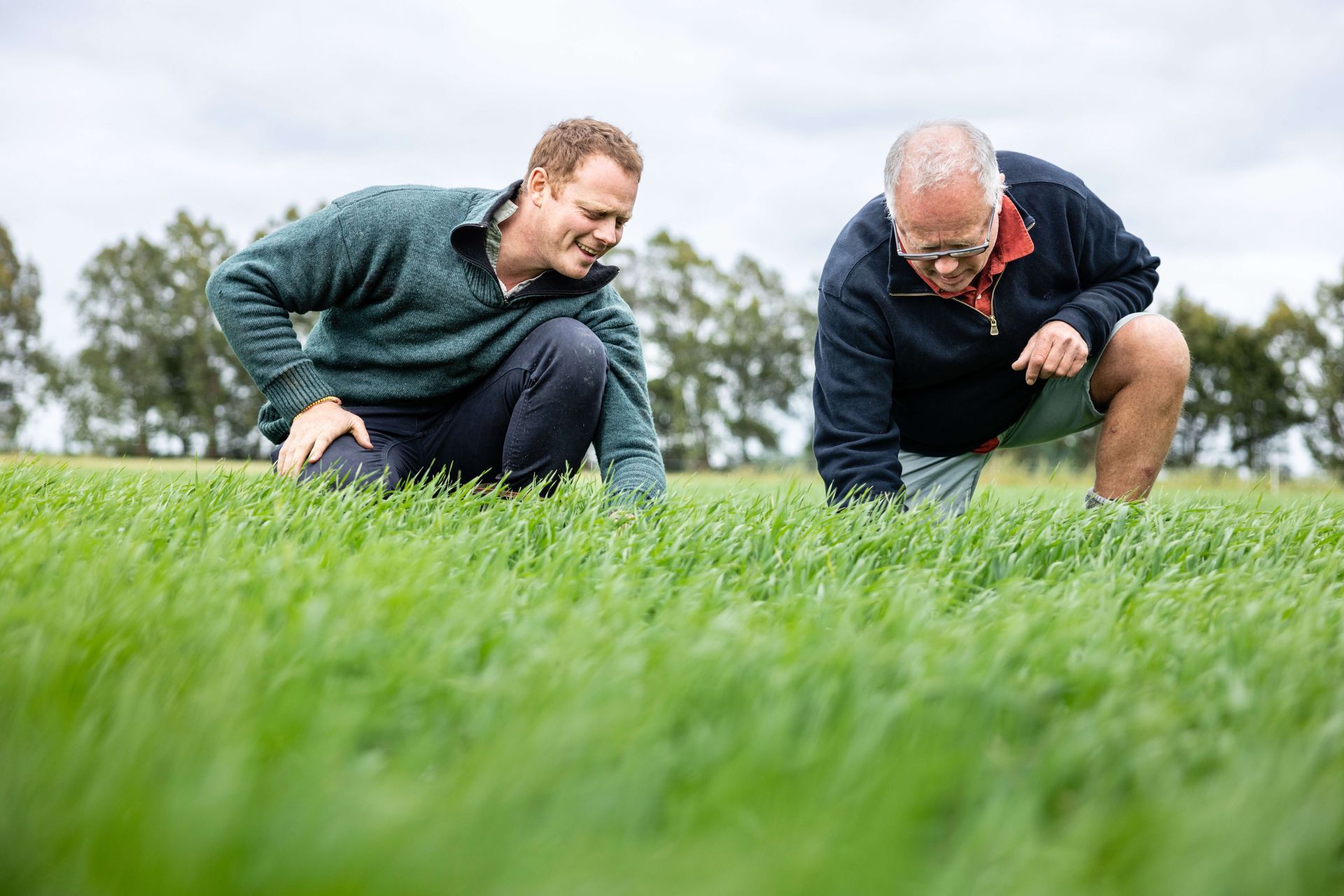 Folium Organics NZ