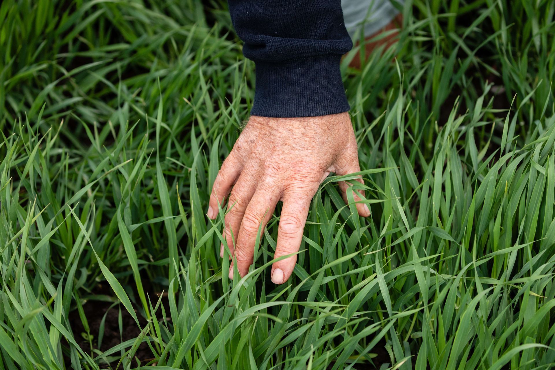 Folium Organics NZ